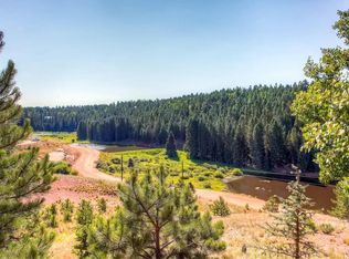 1989 Blue Mesa Dr, Divide, CO 80814