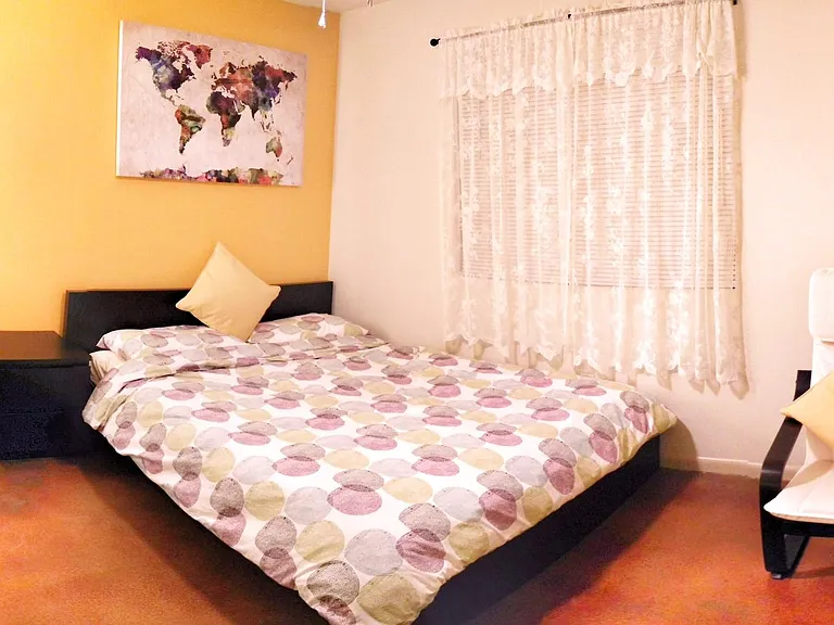 Guest bedroom with walk-in closet (Elfa closet system)