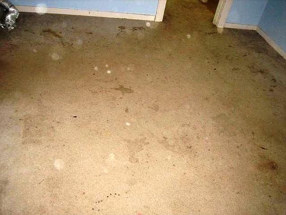 5th image of 801 N C St