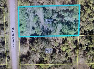 1416 Magnolia Ave, Lehigh Acres, FL 33972