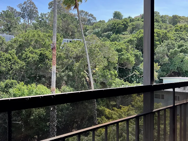 10 Mulberry Court — Photo 12