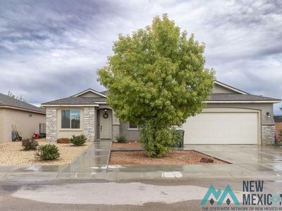 1100 Chitalpa Ct, Carlsbad, NM, 88220