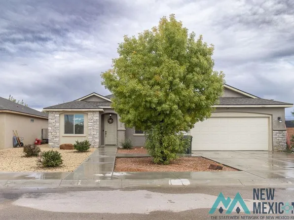 1100 Chitalpa Ct, Carlsbad, NM 88220