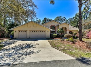 15 Drypetes Ct W, Homosassa, FL 34446
