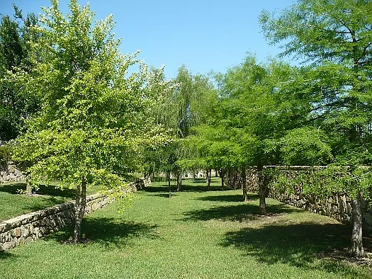 Spicewood Crossing — Photo 8