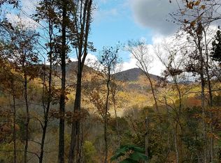 215 Martins Creek Rd, Barnardsville, NC 28709