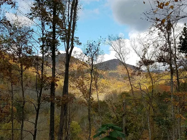 215 Martins Creek Rd, Barnardsville, NC 28709