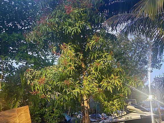 5th image of 1251 NW 29th Ter