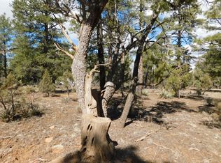 2066 Lone Mountain Rd, Overgaard, AZ 85933