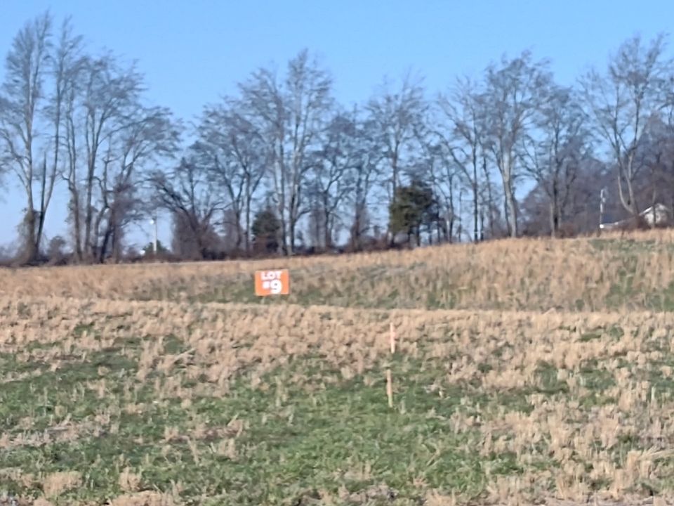 2nd image of 9 Highway 161