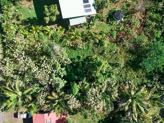 4th image of Kamoamoa St Lot 252