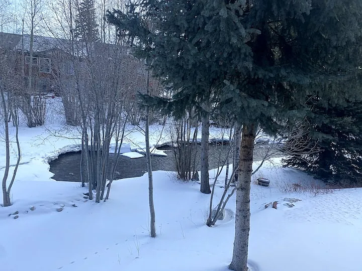 101 Forest Dr #M — Photo 6