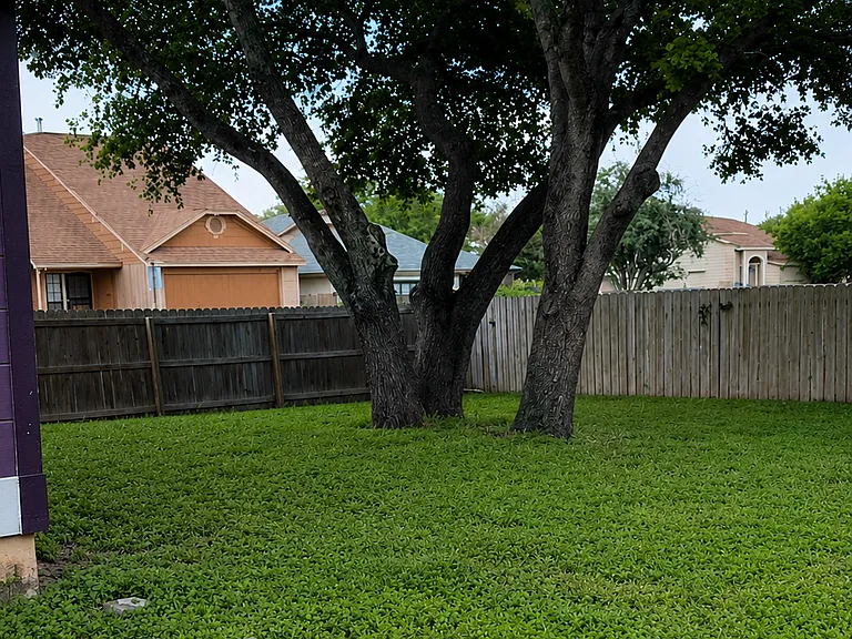3601 Candlefire Cir — Photo 6