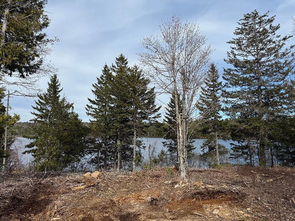1st image of Lot 7BH Steam Mill Road