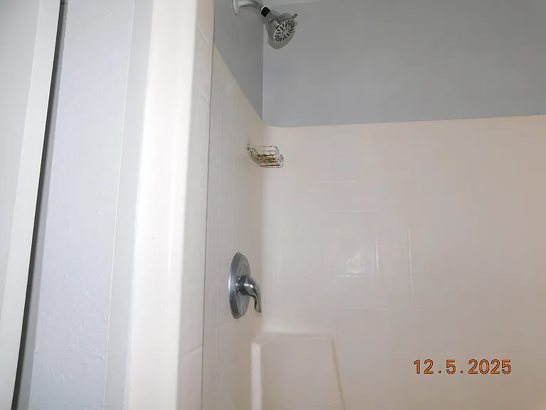 Master bath shower