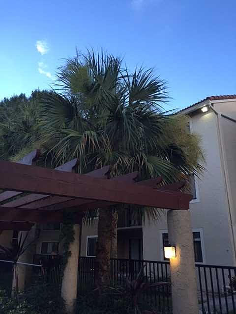 2nd image of 9166 W Atlantic Blvd APT 1611