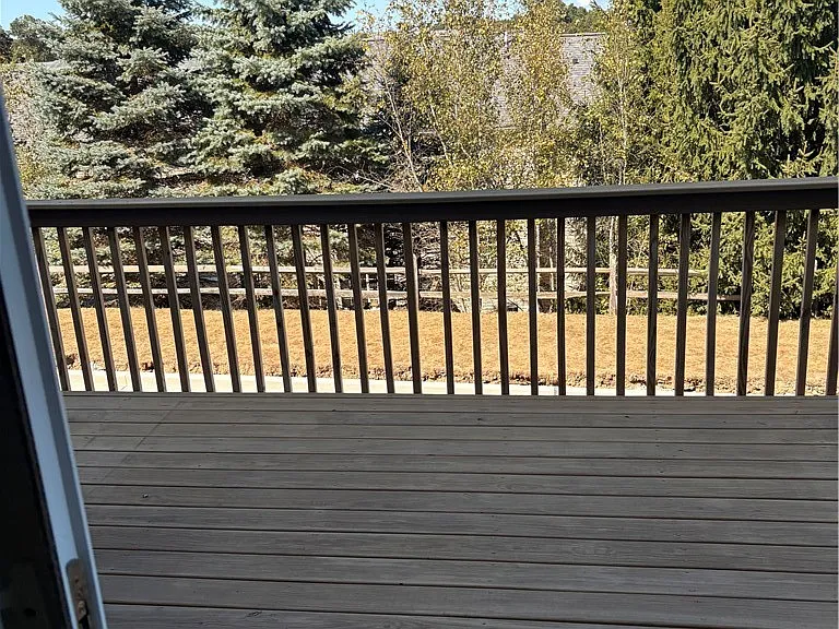 10569 Forest Hill Dr — Photo 11