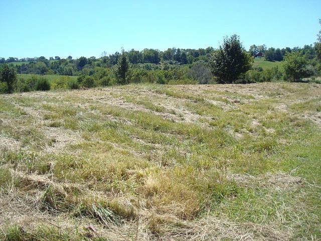 2nd image of 160 Chippewa Dr