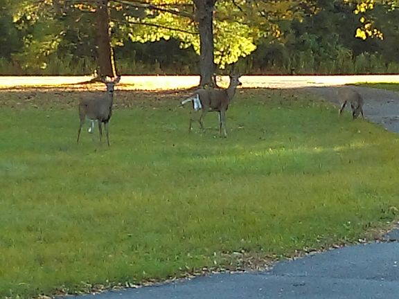 From the front porch