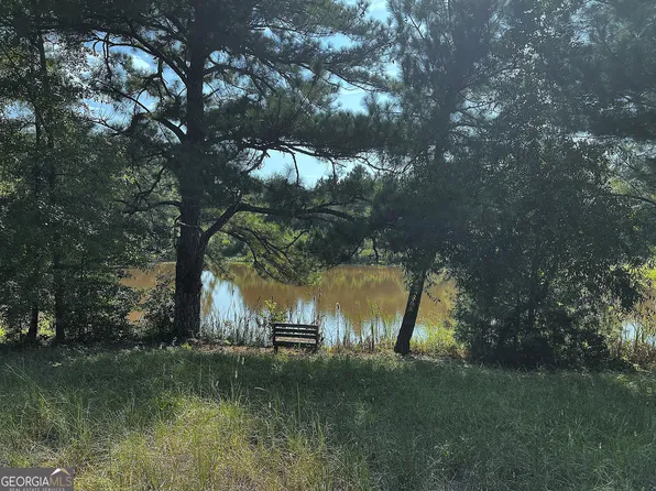 28 Acres Hwy #36E, Thomaston, GA 30286