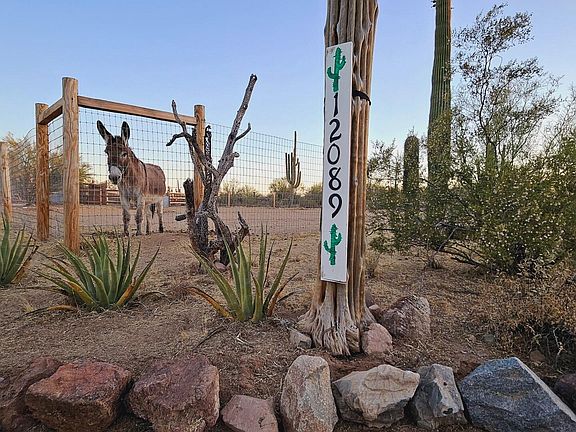 2nd image of 12089 W Saguaro Park Ln