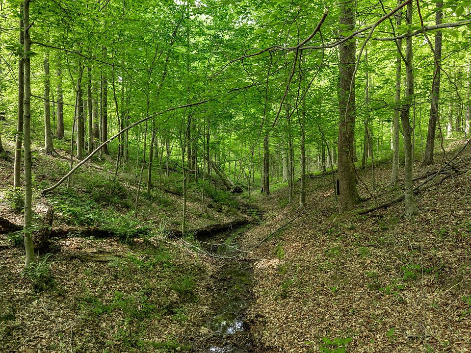 1st image of 5675 Natchez Trace Rd