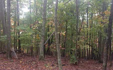 1st image of LOT 91 The Hills At Queens Bay