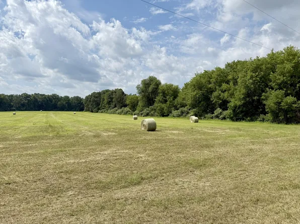 Slawson Lake Rd, Greenville, MI 48838