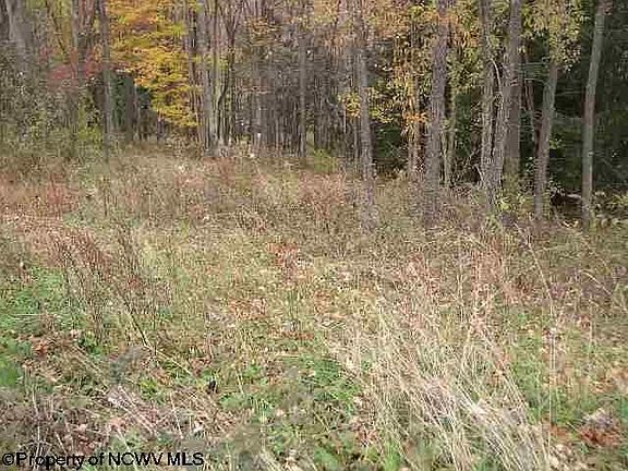 5th image of LOT 3 Elm Crest Ct