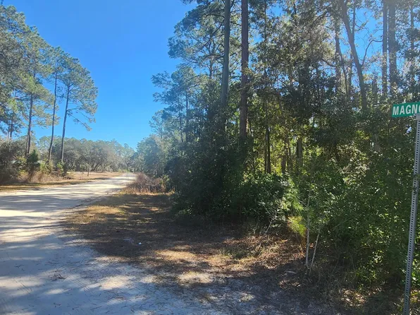 109 MAGNOLIA Lane, Georgetown, FL 32139