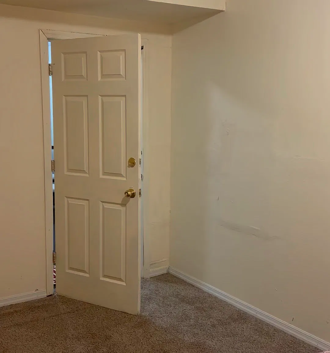 1 bed, $850 — Photo 2