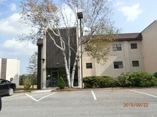 139 Foxfire Dr #316, Mount Pocono, PA 18344