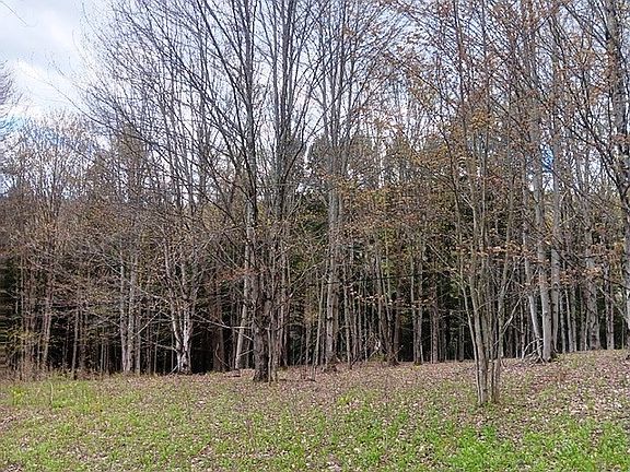 5th image of 1122 W Hill Rd
