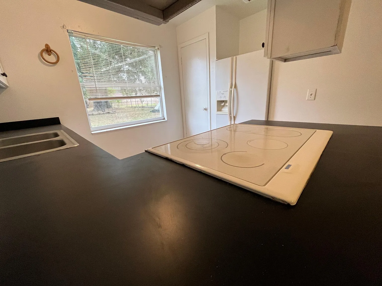 3020 Reiter Dr — Photo 3
