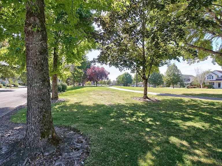 Neighborhood