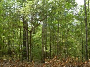 98 Green Tree Dr, Coldspring, TX 77331