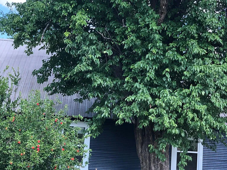 4773 FM 2862 #100 — Photo 8