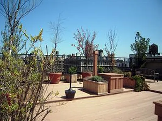 Rented by Douglas Elliman | media 18