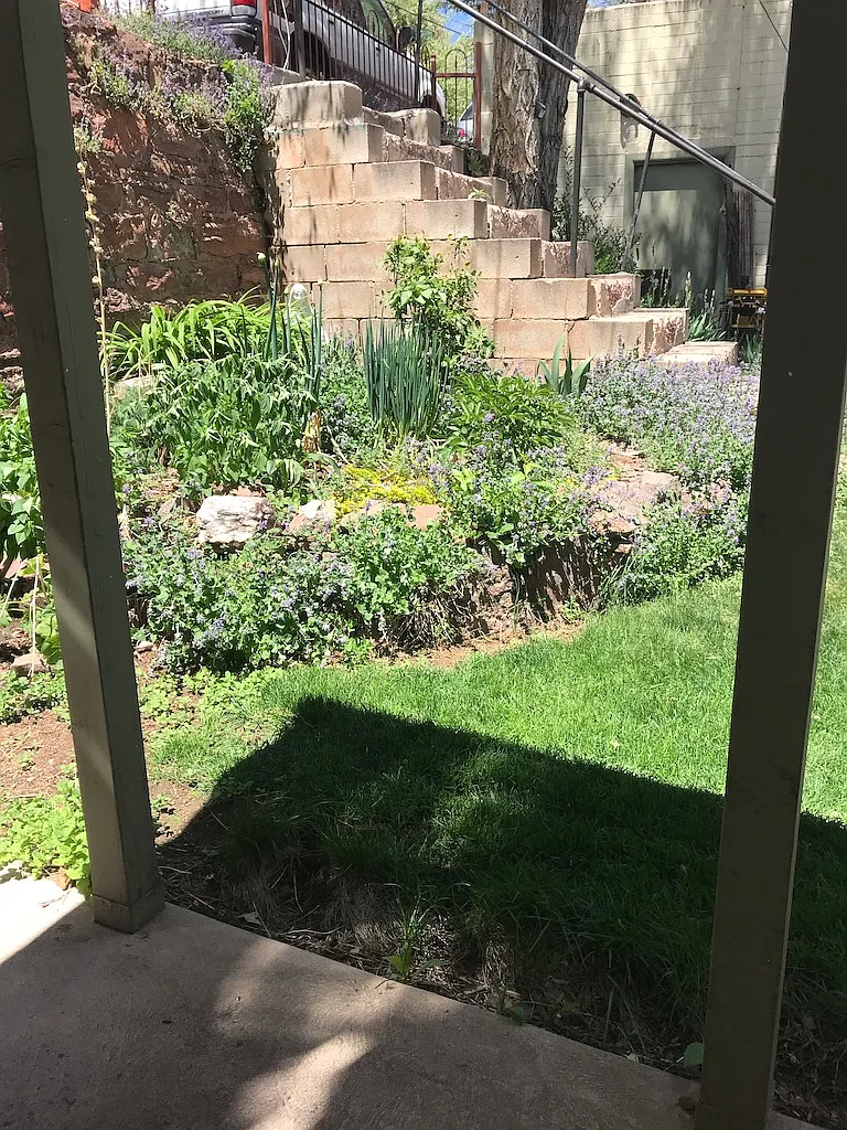 Studio, 300 sqft, $850 — Photo 4
