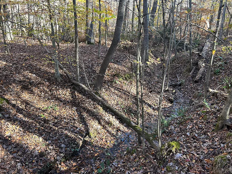6970 Heard Rd — Photo 2
