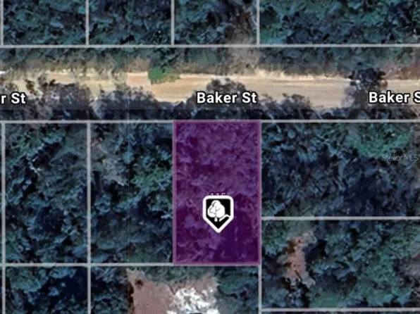 LOT 8 Baker St Lot 8, Interlachen, FL 32148