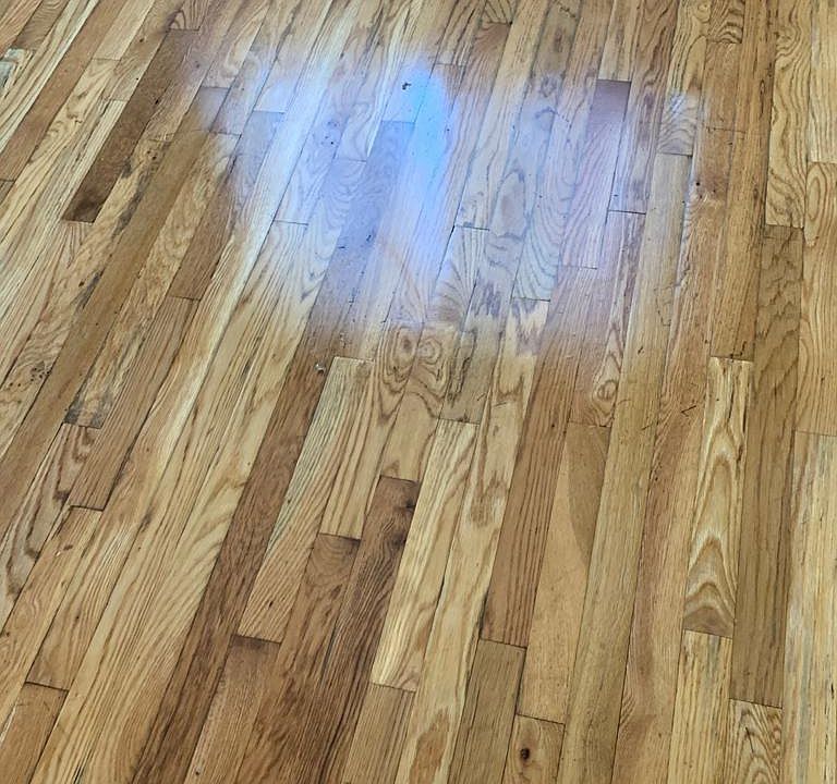 2nd image of 2923 Dewitt Pl Floor 2