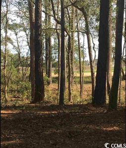 4933 South Island Dr. LOT 376, North Myrtle Beach, SC, 29582