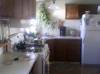 Used Three Bedroom Mobile Home for Sale in Mobile Home Park