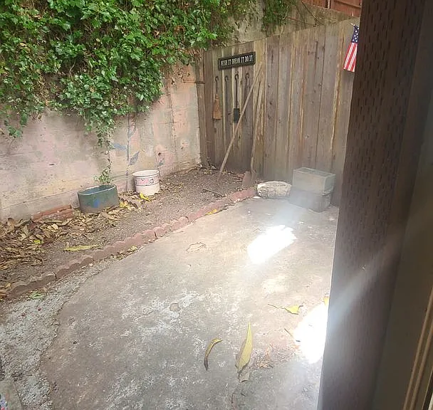 179 Caselli Ave #2 — Photo 15
