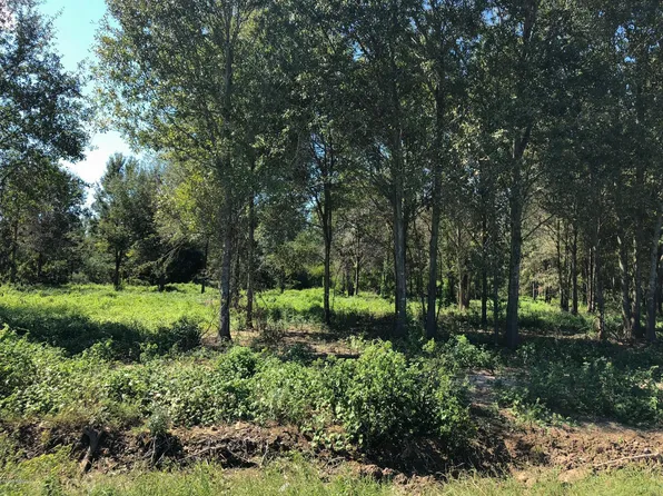 8 L Anse Meg Rd, Mamou, LA 70554
