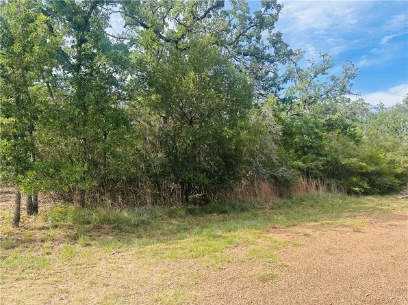 215 Mesquite Trl, Somerville, TX 77879