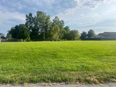 45 Nightingale Cir, Camargo, IL, 61919