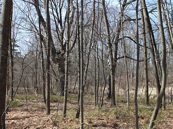 View of Back of Property