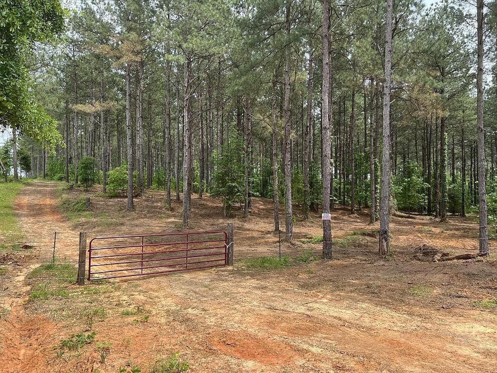 6410 County Road 73, Randolph, AL 36792 | Zillow